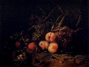Rachel Ruysch Still-Life with Fruit and Insects Germany oil painting artist